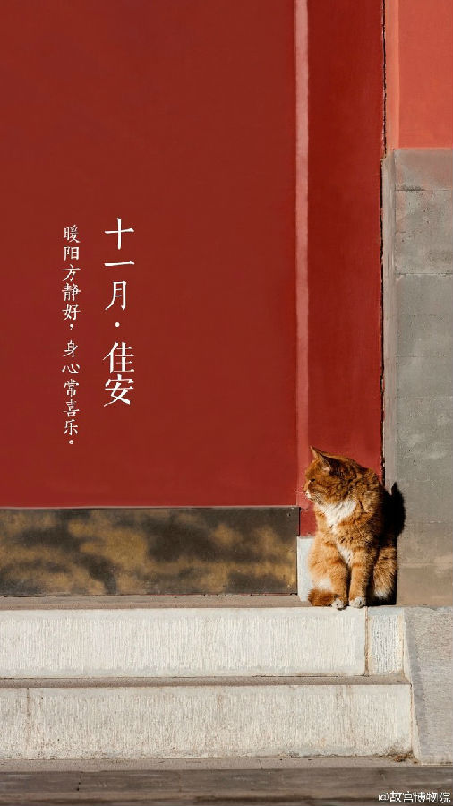 十一月佳安唯美紫禁城图片大全 美的像幅画