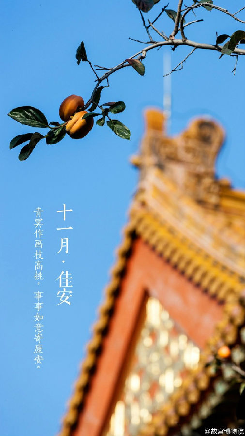 十一月佳安唯美紫禁城图片大全 美的像幅画