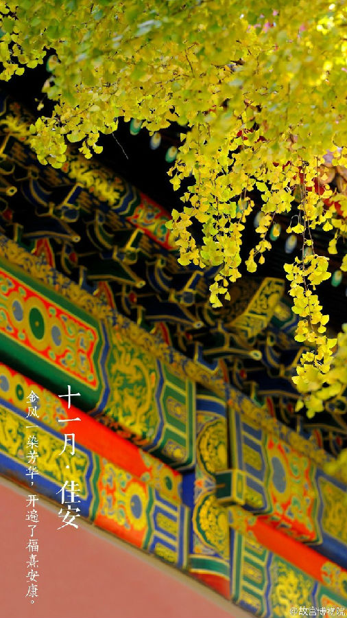十一月佳安唯美紫禁城图片大全 美的像幅画