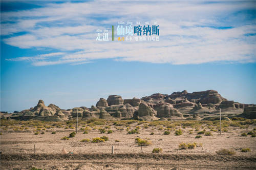 ½˹羰ͼƬ