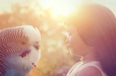 生活不是言情小说 微信背景图片