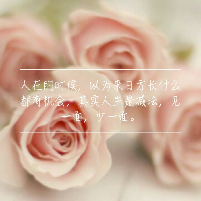 Ψlomo⾳˸ͼƬ עο