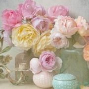 唯美静物qq头像2015