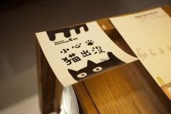 可爱袖珍的小奶猫萌宠图片 纵然万般曲折还是得迎接明天的太阳