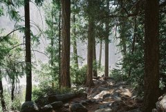 绿色山间小路大自然风景图片 避免听见谎言最好的方法就是不要问
