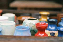 粉色春天——洋紫荆 文字控