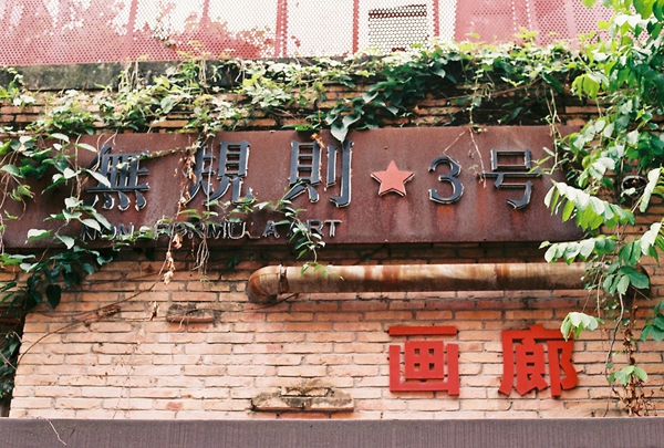 故乡的泡桐树 文字控