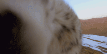 һӲ ȻĿ˺þ