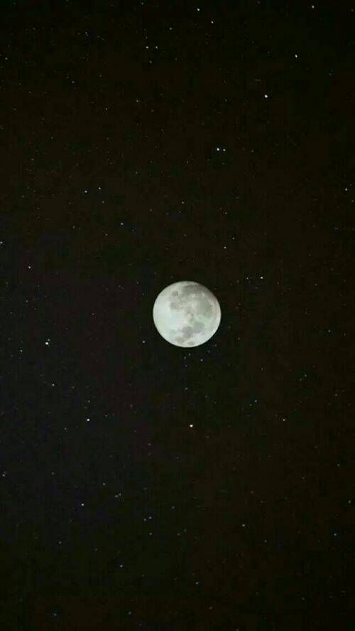 򵥸ɾڰ׸ƤֻǼį벻Ҫ