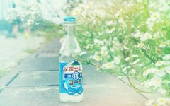 海上飘着一艘船 文字控
