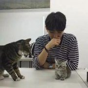 时七:那么多总有你喜欢的