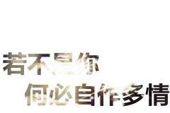 很好看的2017带文字的图片 细节打败爱情