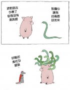 万圣节卡通图片可爱动物变装 脑洞大开的万圣节变装