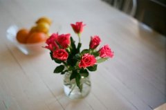 静物花语 微信背景图片