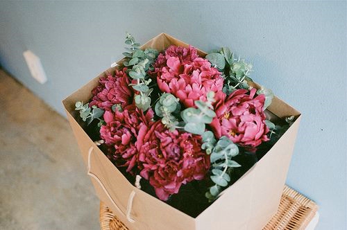 静物花语 微信背景图片