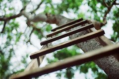 养眼清新简单淡雅的图片 微信背景图片