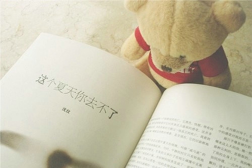 静物小清新唯美图片
