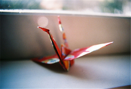 ʮĸǩٳҲܽY飬Ҳᵥ