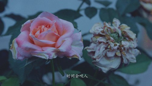 ֺ˸˵˵ ллҵǱ