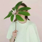 不以结婚为目的的谈恋爱是耍流氓 欧美头像