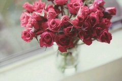 失去比拥有更踏实 好看的花卉图片