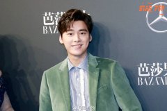 李易峰最帅的图片 一身绿色西装帅气打扮