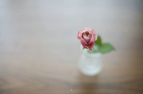 ԭ˸иǩ ĲȷǶ˺