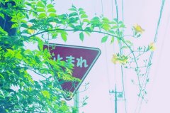 小清新日式风唯美意境摄影图赏