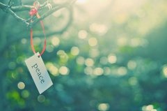 lomo风格唯美图片 微信背景图片