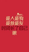 有趣的文字主题个性创意图片 是人是狗是敌是友自己瞅