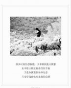 经典黑白伤感带字图片大全 我喜欢自由但更爱两个人