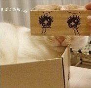 可爱清新各种卡通混搭风格情侣头像