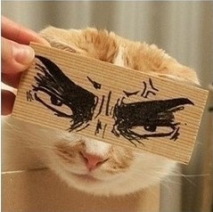 ɰ¸ֿͨͷ