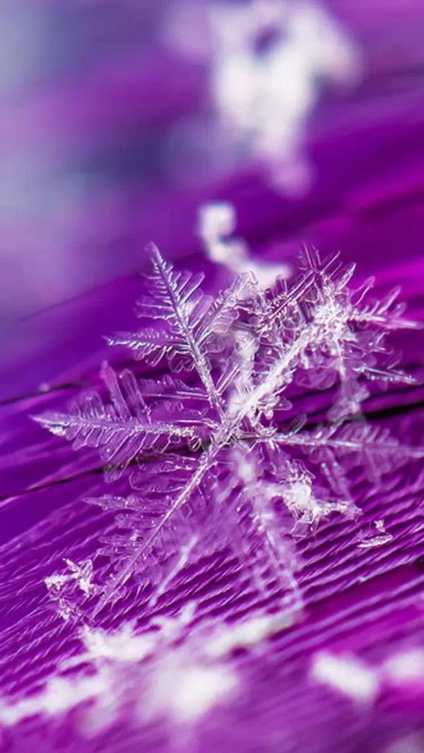۵ĺҫͼƬ ʼձ