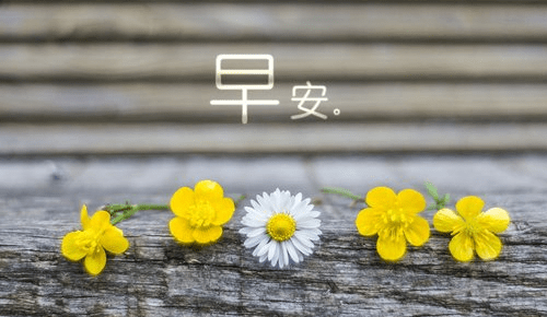 簲־ΨͼƬΨ簲ͼƬ˵˵