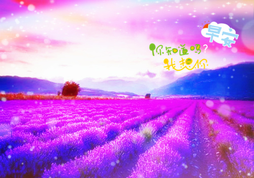 ɫͼ ϦΨͼƬ