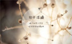 2017精选放下唯美小清新文字图片