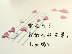 好看的唯美空间伤感文字大图 雪花开了我的心还空着你来吗