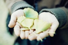 手心捧心型唯美意境图片 七情六欲喜怒哀乐皆有只是个普通人