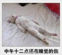 过年期间的你搞笑文字图片 吃瘦点才有资格睡