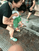 偷看美女换裙子图共5张