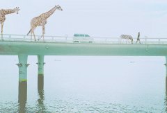 生活平平淡淡才是真 唯美风景小清新图片