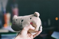 2017最新唯美清新的玩偶可爱图片 我是你的影子,有阳光的时候就