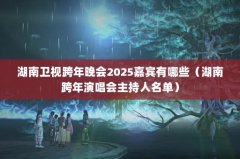 ӿ2025α