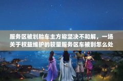服务区被划胎车主方称坚决不