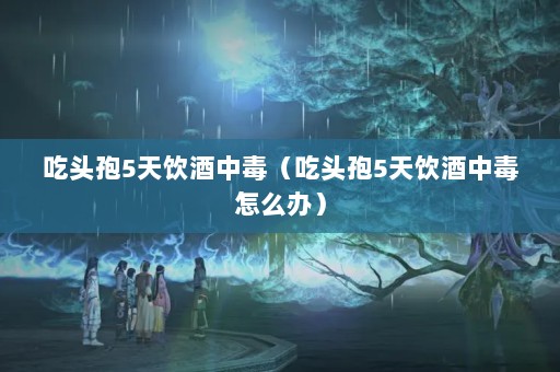 ͷ5жͷ5жô죩