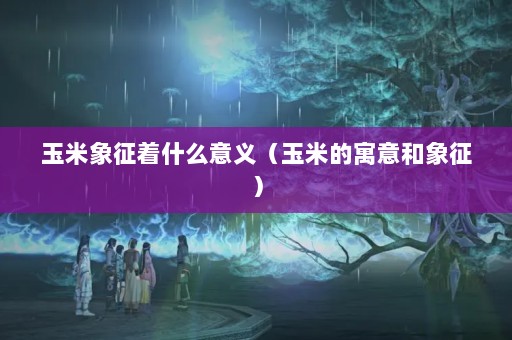 ʲô壨׵Ԣ