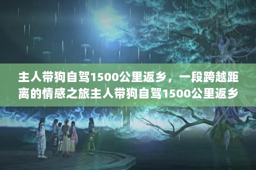 ˴Լ1500ﷵ磬һοԽ֮˴Լ1500ﷵ
