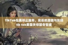 TikTokֹͣ񣬱