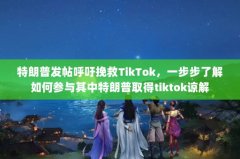շTikTok